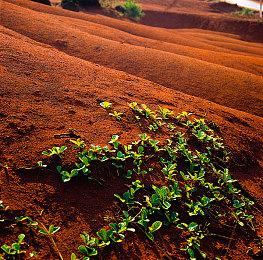 《卧龙：苍天陨落》怪物介绍 取材自山海经的强大妖魔